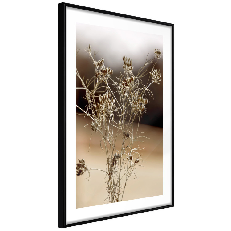 Wall Poster Passionate Maturity - plant landscape with flowers on a blurred background 131784 additionalImage 6