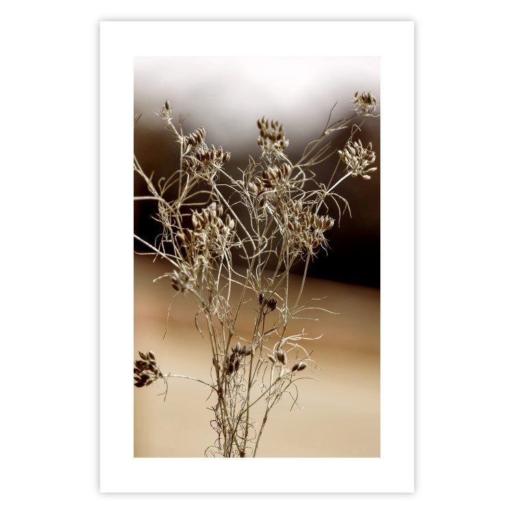 Wall Poster Passionate Maturity - plant landscape with flowers on a blurred background 131784 additionalImage 19