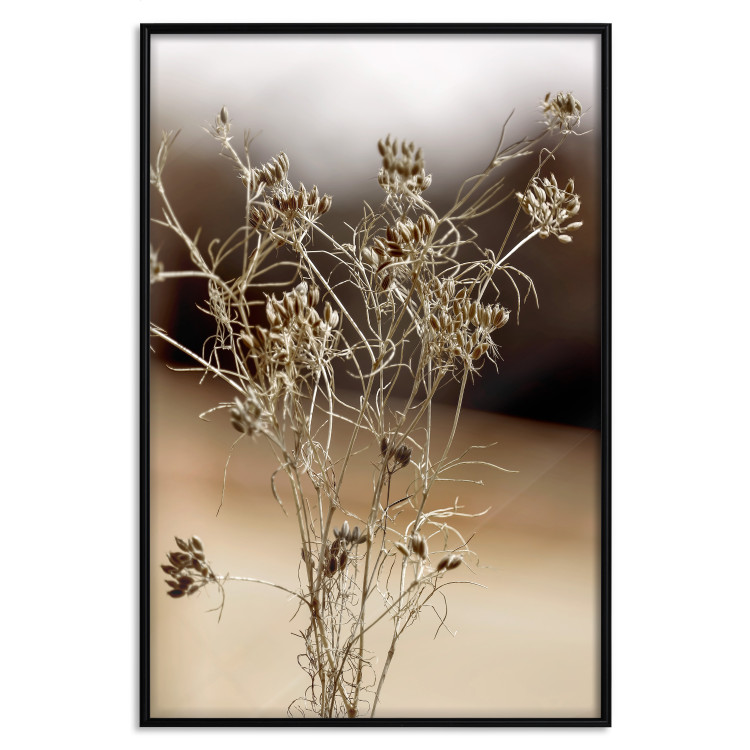 Wall Poster Passionate Maturity - plant landscape with flowers on a blurred background 131784 additionalImage 16