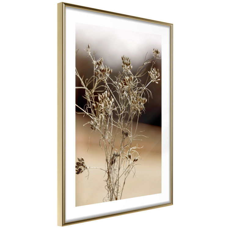 Wall Poster Passionate Maturity - plant landscape with flowers on a blurred background 131784 additionalImage 9