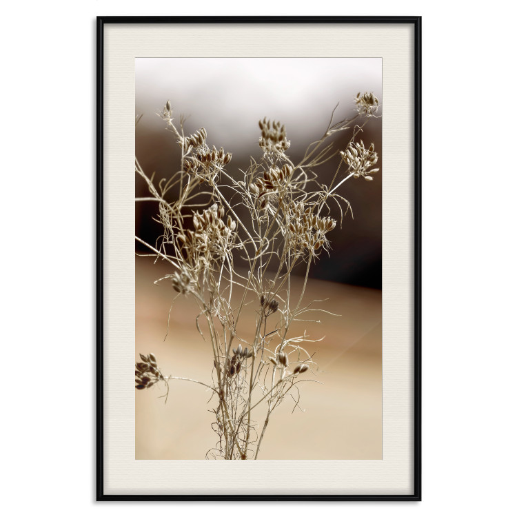 Wall Poster Passionate Maturity - plant landscape with flowers on a blurred background 131784 additionalImage 19
