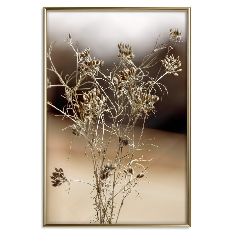 Wall Poster Passionate Maturity - plant landscape with flowers on a blurred background 131784 additionalImage 17