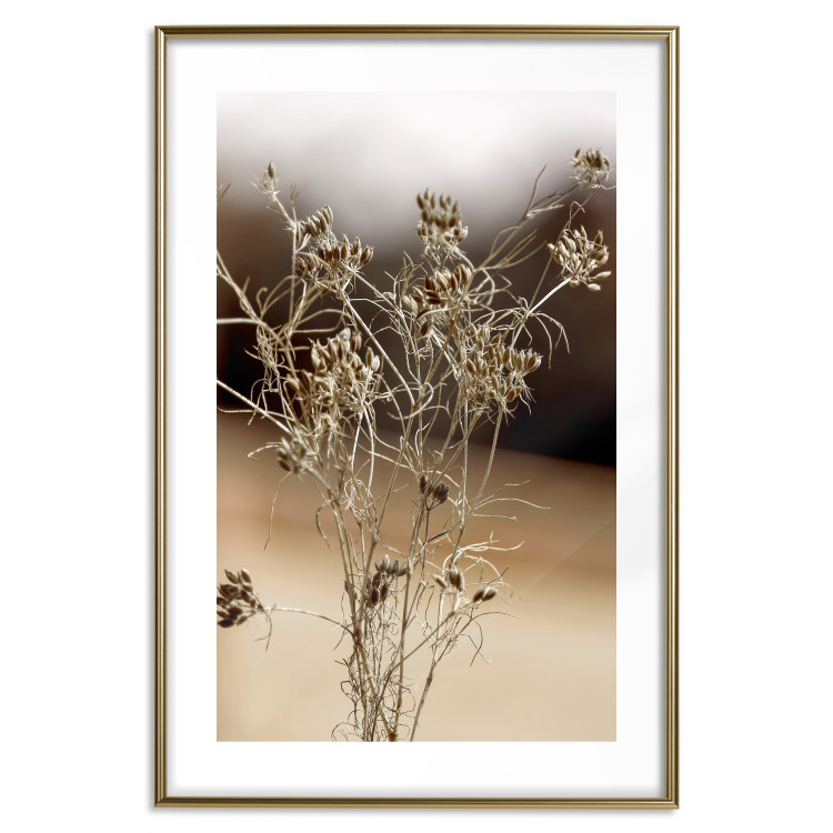 Wall Poster Passionate Maturity - plant landscape with flowers on a blurred background 131784 additionalImage 14