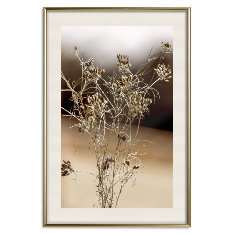 Wall Poster Passionate Maturity - plant landscape with flowers on a blurred background 131784 additionalImage 20