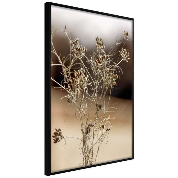 Wall Poster Passionate Maturity - plant landscape with flowers on a blurred background 131784 additionalImage 11