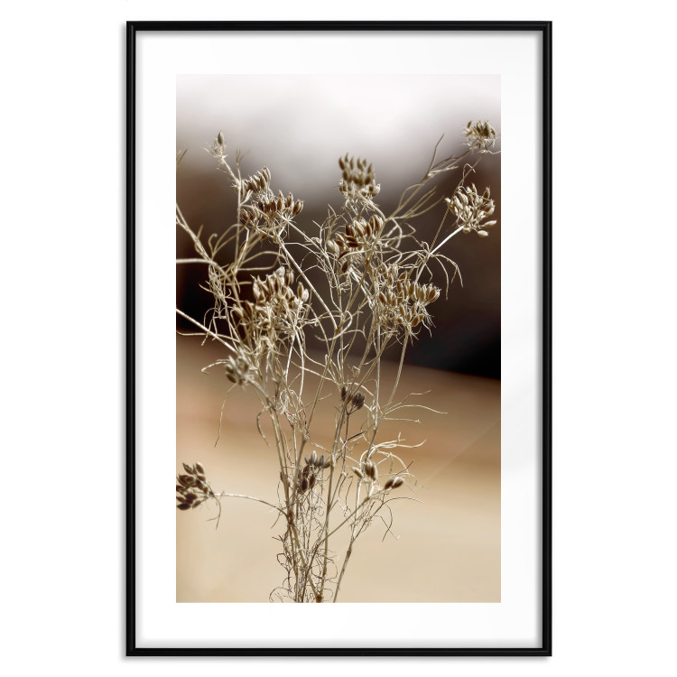 Wall Poster Passionate Maturity - plant landscape with flowers on a blurred background 131784 additionalImage 15