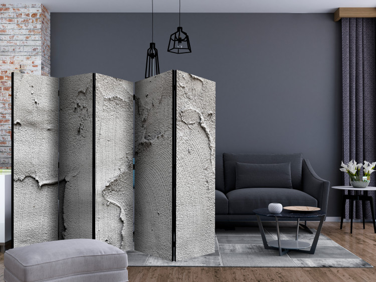 Room Divider Concrete Emptiness II (5-piece) - simple composition in gray 132984 additionalImage 4