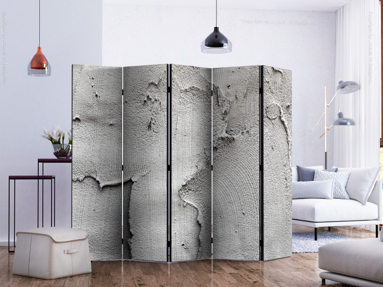 Room Divider Concrete Emptiness II (5-piece) - simple composition in gray 132984 additionalImage 2