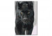 Paint by Number Kit Black Panther 134884 additionalThumb 6