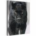 Paint by Number Kit Black Panther 134884 additionalThumb 4