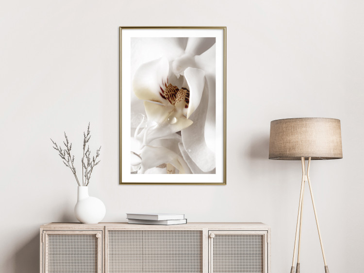 Poster Drop of Dream - velvety composition of a magnolia flower on a white background 134984 additionalImage 13