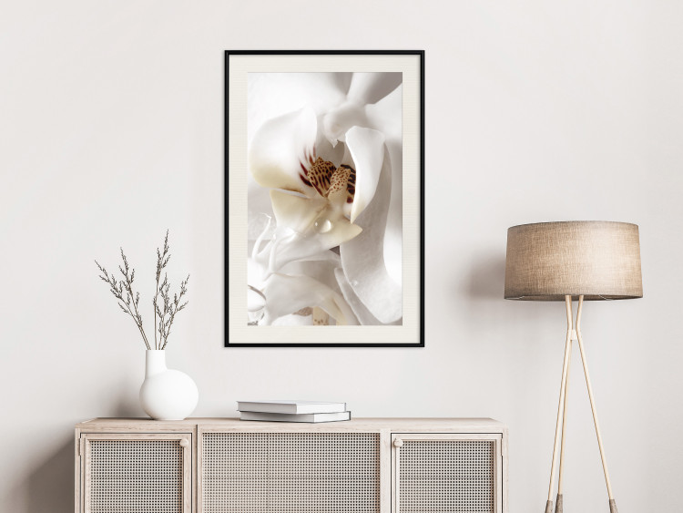 Poster Drop of Dream - velvety composition of a magnolia flower on a white background 134984 additionalImage 24