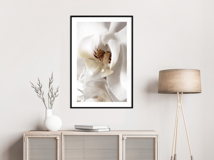 Poster Drop of Dream - velvety composition of a magnolia flower on a white background 134984 additionalImage 23