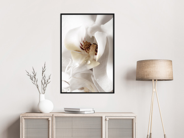Poster Drop of Dream - velvety composition of a magnolia flower on a white background 134984 additionalImage 6