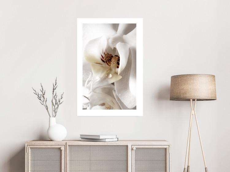 Poster Drop of Dream - velvety composition of a magnolia flower on a white background 134984 additionalImage 3