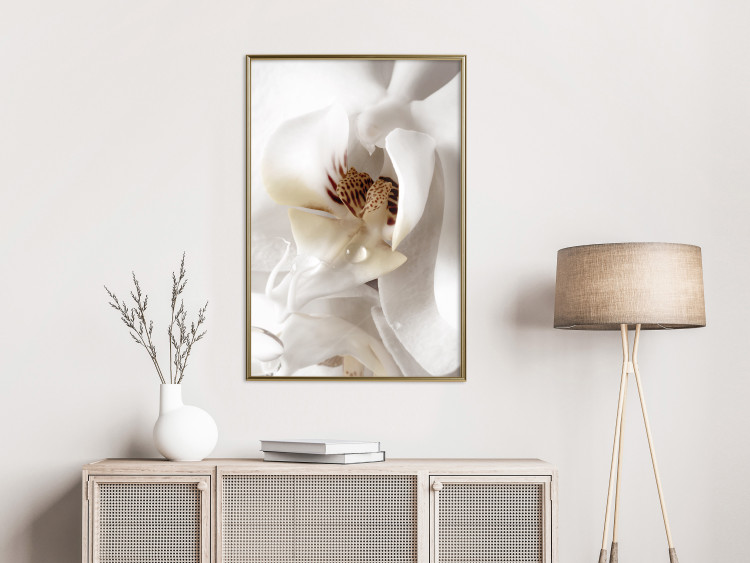 Poster Drop of Dream - velvety composition of a magnolia flower on a white background 134984 additionalImage 5