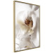 Poster Drop of Dream - velvety composition of a magnolia flower on a white background 134984 additionalThumb 12