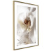 Poster Drop of Dream - velvety composition of a magnolia flower on a white background 134984 additionalThumb 9