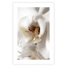 Poster Drop of Dream - velvety composition of a magnolia flower on a white background 134984 additionalThumb 19