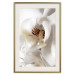Poster Drop of Dream - velvety composition of a magnolia flower on a white background 134984 additionalThumb 20