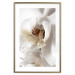 Poster Drop of Dream - velvety composition of a magnolia flower on a white background 134984 additionalThumb 14
