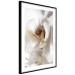 Poster Drop of Dream - velvety composition of a magnolia flower on a white background 134984 additionalThumb 6