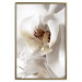 Poster Drop of Dream - velvety composition of a magnolia flower on a white background 134984 additionalThumb 21