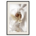 Poster Drop of Dream - velvety composition of a magnolia flower on a white background 134984 additionalThumb 19