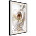 Poster Drop of Dream - velvety composition of a magnolia flower on a white background 134984 additionalThumb 2