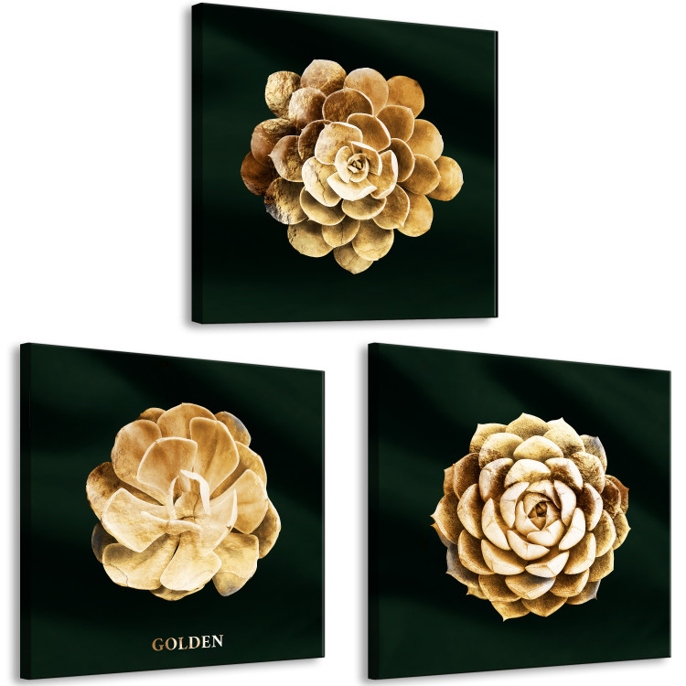 Canvas Precious Succulents (3-piece) - golden flowers in glamour motif 135384 additionalImage 2