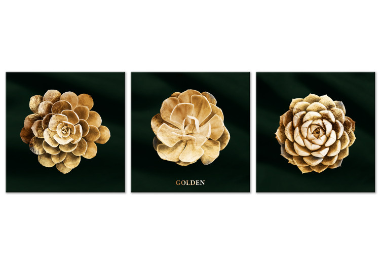 Canvas Precious Succulents (3-piece) - golden flowers in glamour motif 135384