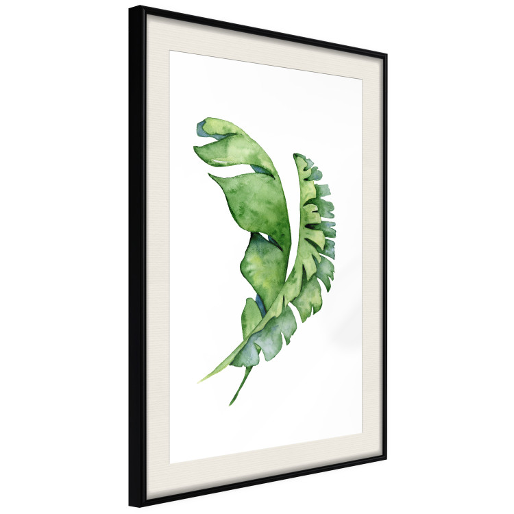 Wall Poster Intertwined Leaves - watercolor composition with green foliage on white 136384 additionalImage 9