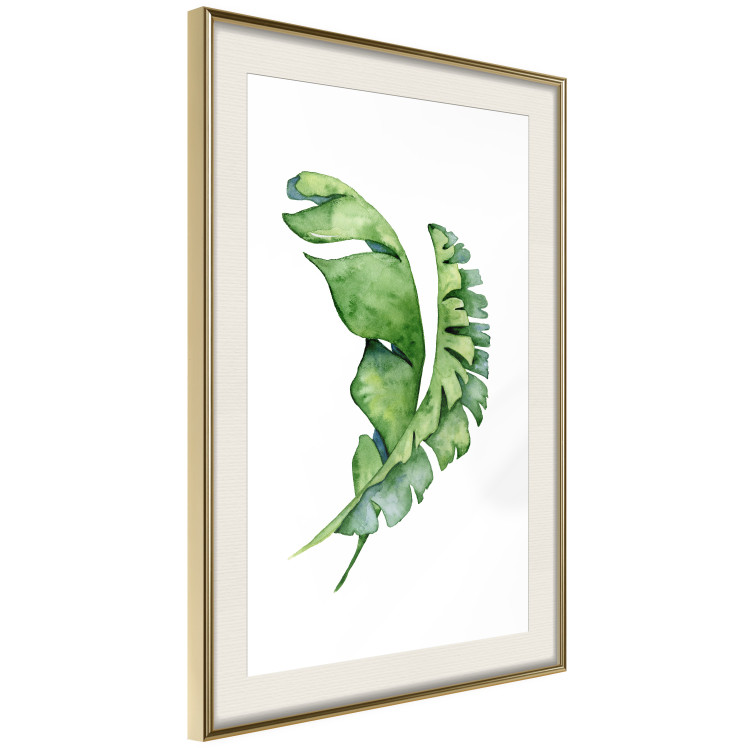 Wall Poster Intertwined Leaves - watercolor composition with green foliage on white 136384 additionalImage 11