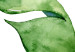Wall Poster Intertwined Leaves - watercolor composition with green foliage on white 136384 additionalThumb 2