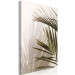 Canvas Print Palm Leaves (1-piece) - landscape with green plants on a light background 145284 additionalThumb 2