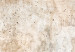 Large canvas print Rust Texture - Abstract Painting in Shades of Soft Browns [Large Format] 151484 additionalThumb 4