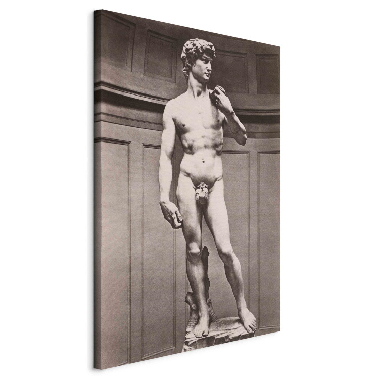 Art Reproduction Sculpture of David 151984 additionalImage 2