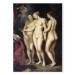 Reproduction Painting The Medici Cycle: Education of Marie de Medici, detail of the Three Graces 156384