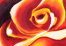 Canvas Three charming roses 48584 additionalThumb 3