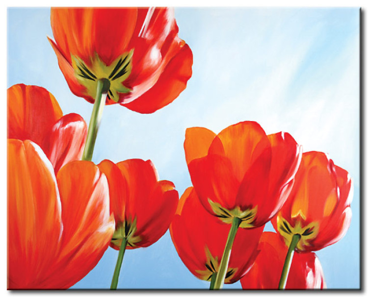 Canvas Art Print Tulips (1-piece) - Red flowers on a blue sky background 48684