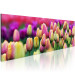 Canvas Print Rainbow-hued tulips 58484 additionalThumb 2
