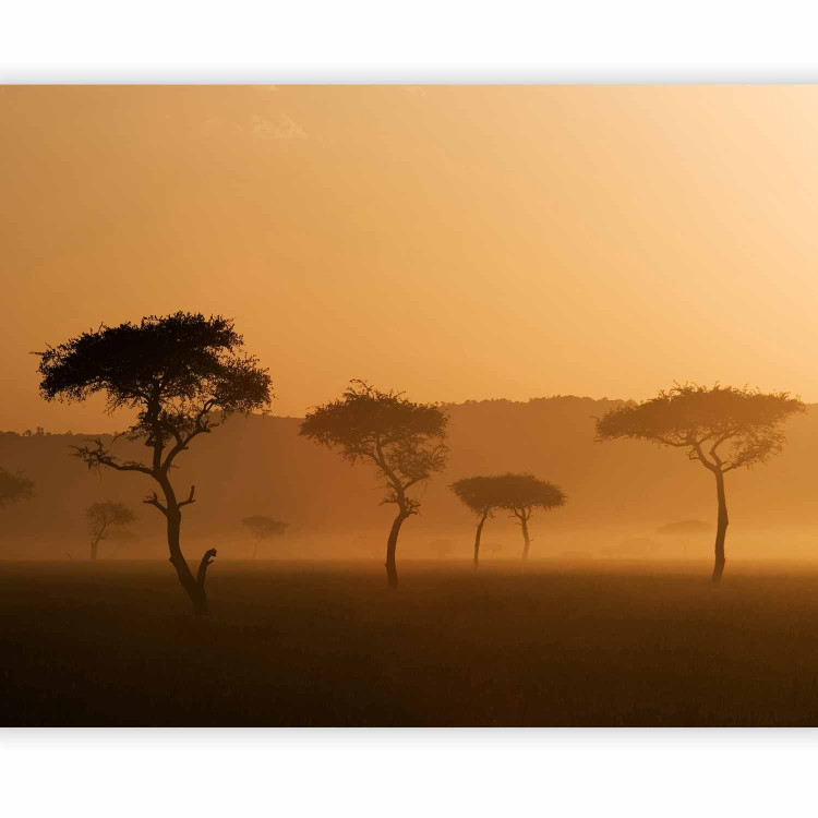 Photo Wallpaper Massai Mara 61384 additionalImage 5