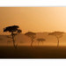Photo Wallpaper Massai Mara 61384 additionalThumb 5