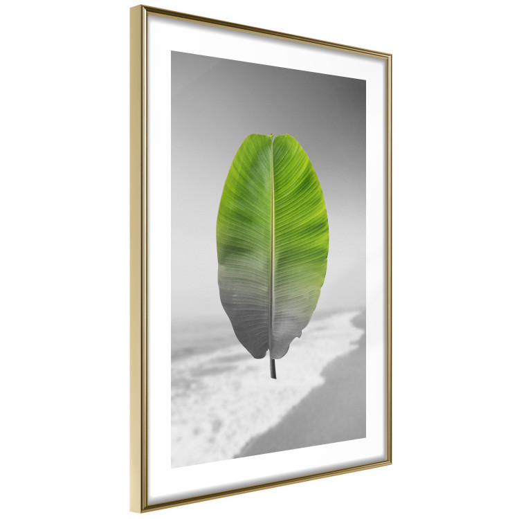Poster Banana Leaf - Green tropical plant on a gray landscape 114394 additionalImage 6