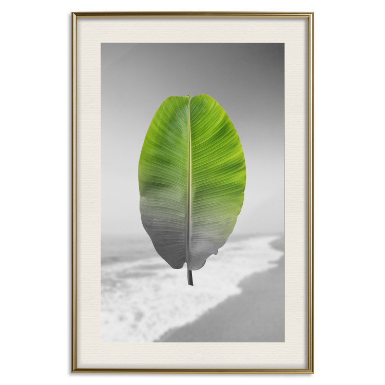 Poster Banana Leaf - Green tropical plant on a gray landscape 114394 additionalImage 19