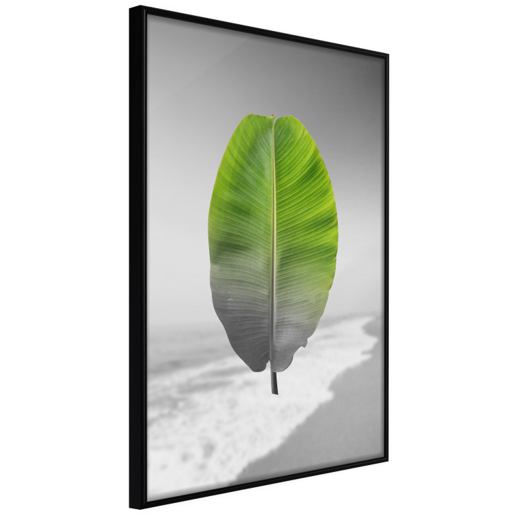 Poster Banana Leaf - Green tropical plant on a gray landscape 114394 additionalImage 12