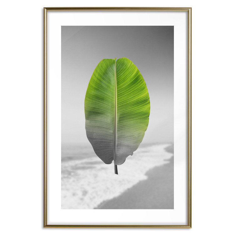 Poster Banana Leaf - Green tropical plant on a gray landscape 114394 additionalImage 14