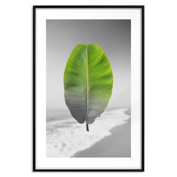 Poster Banana Leaf - Green tropical plant on a gray landscape 114394 additionalImage 15