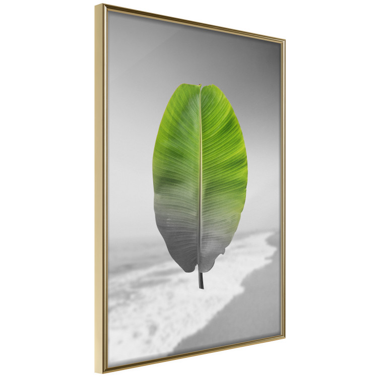 Poster Banana Leaf - Green tropical plant on a gray landscape 114394 additionalImage 12