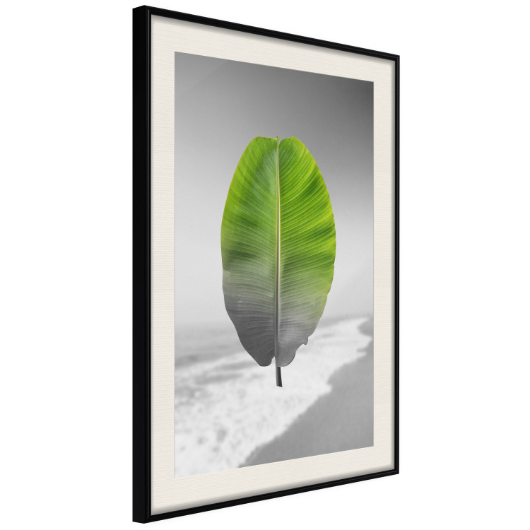Poster Banana Leaf - Green tropical plant on a gray landscape 114394 additionalImage 3